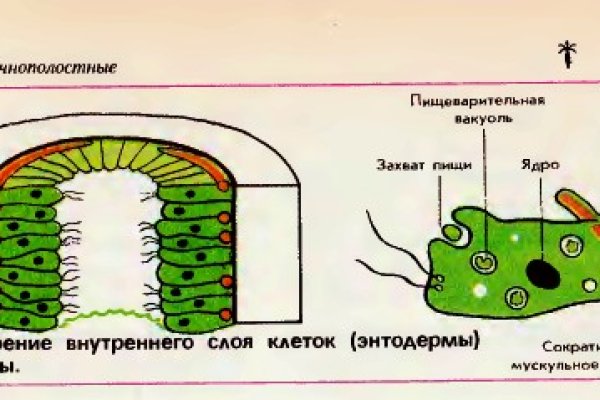 Кракен маркетплейс что там продают