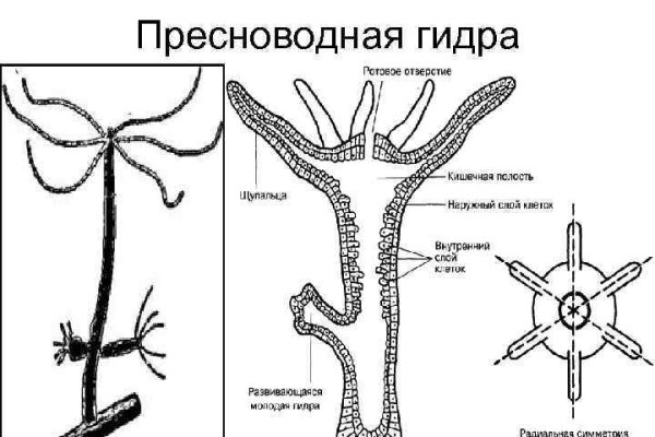 Kraken сайт зеркала