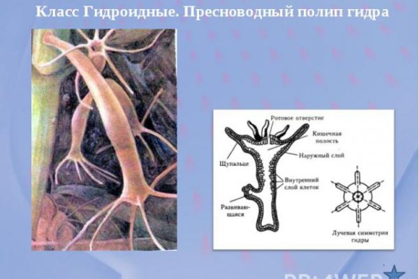 Как зайти на кракен в тор браузере