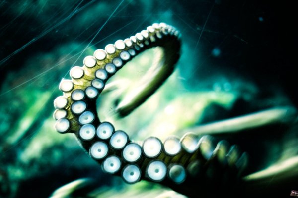 Кракен маркетплейс ссылка krakenat2krnkrnk com