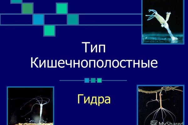 Кракен портал