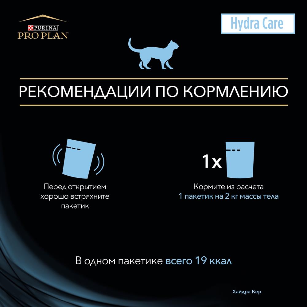 Не могу зайти в кракен