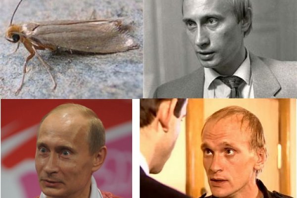 Кракен сайт упал
