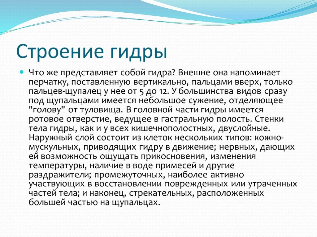 Кракен ссылка список